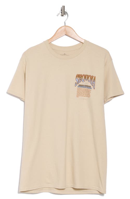 Alpha Collective Sequoia National Park Cotton Graphic T-shirt