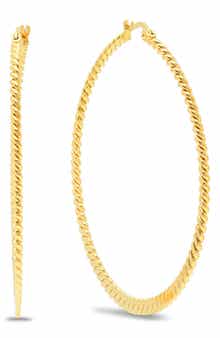 Twisted Hoop Earrings
