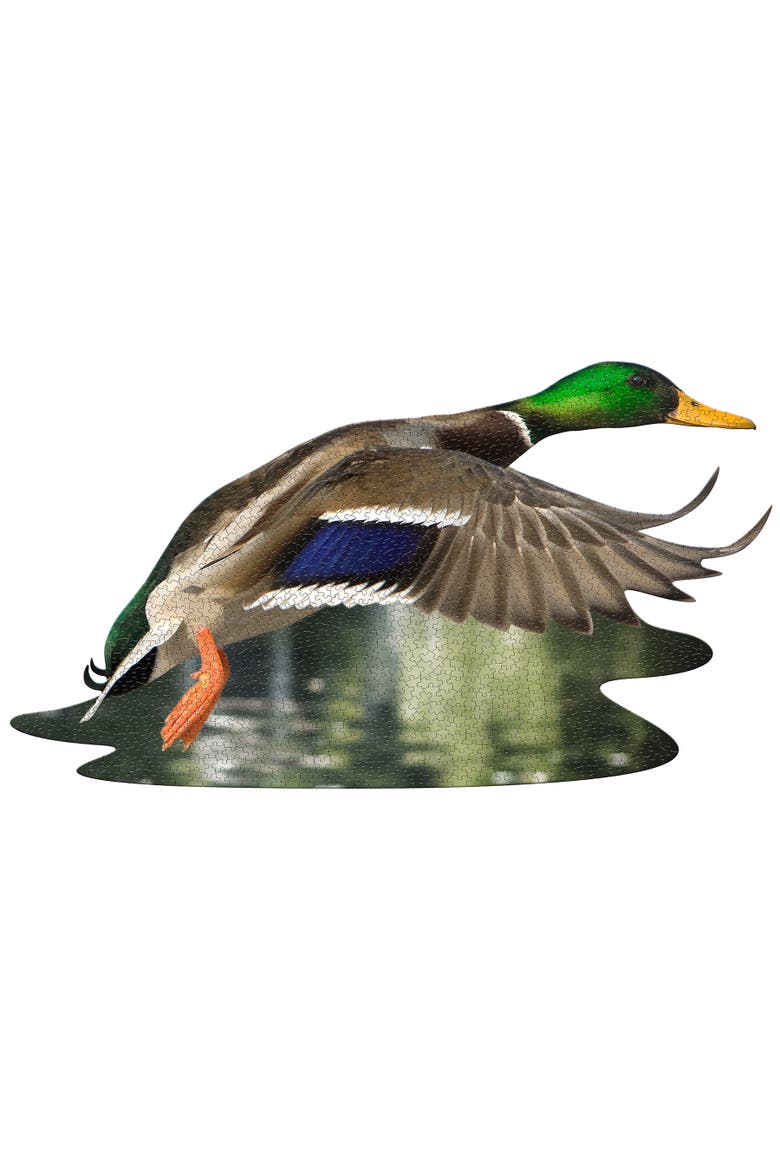 I Am Duck 1000 Pieces Animal Shaped Jigsaw Puzzle, Alternate, color, Multicolored