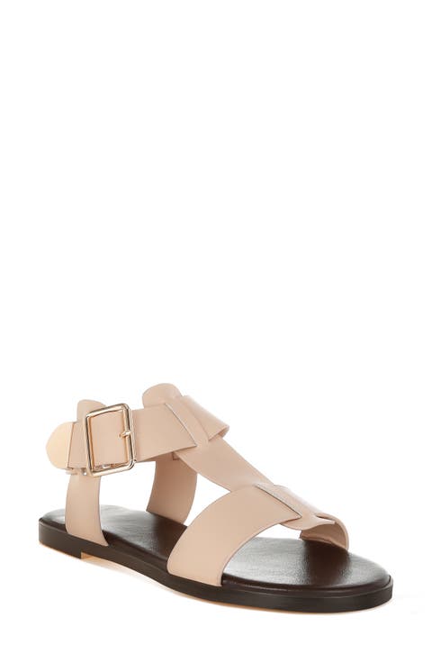 Shayla Gladiator Flat Sandal (Women)