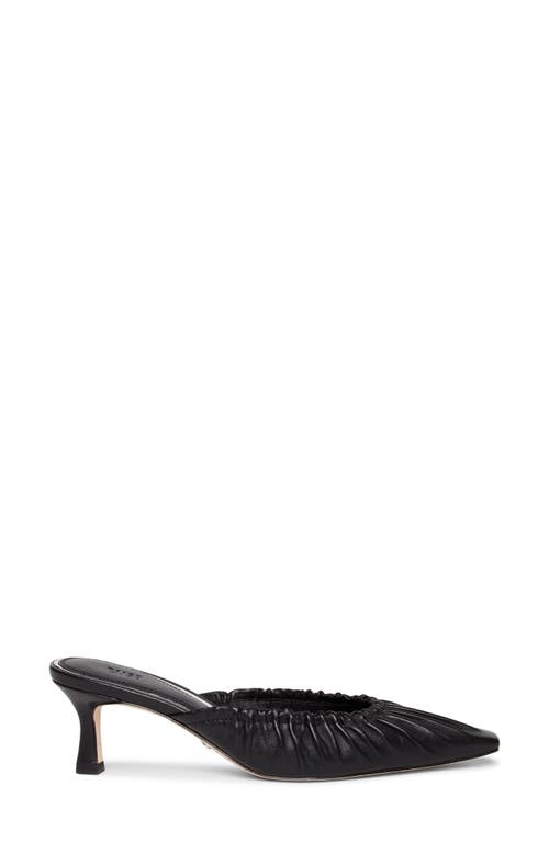 Paige Alice Mule