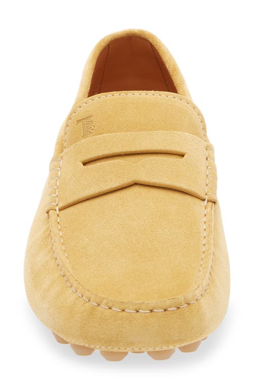 Tod's Gommino Bubble Suede Driving Shoe