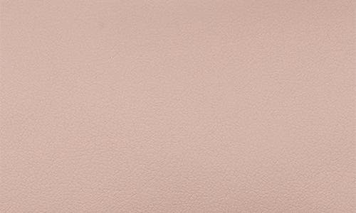 Longchamp Handbag Xs Le Pliage Xtra In Nude