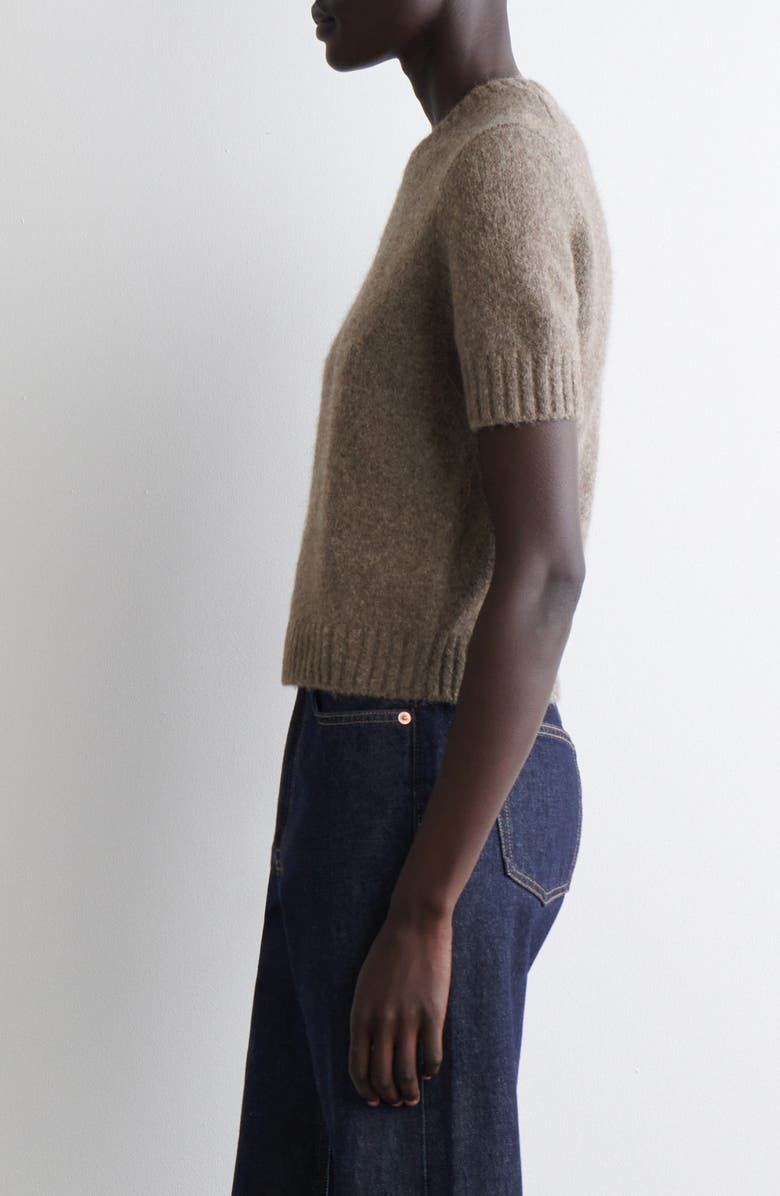 COS Sweetings Short Sleeve Cashmere & Wool Sweater, Alternate, color,