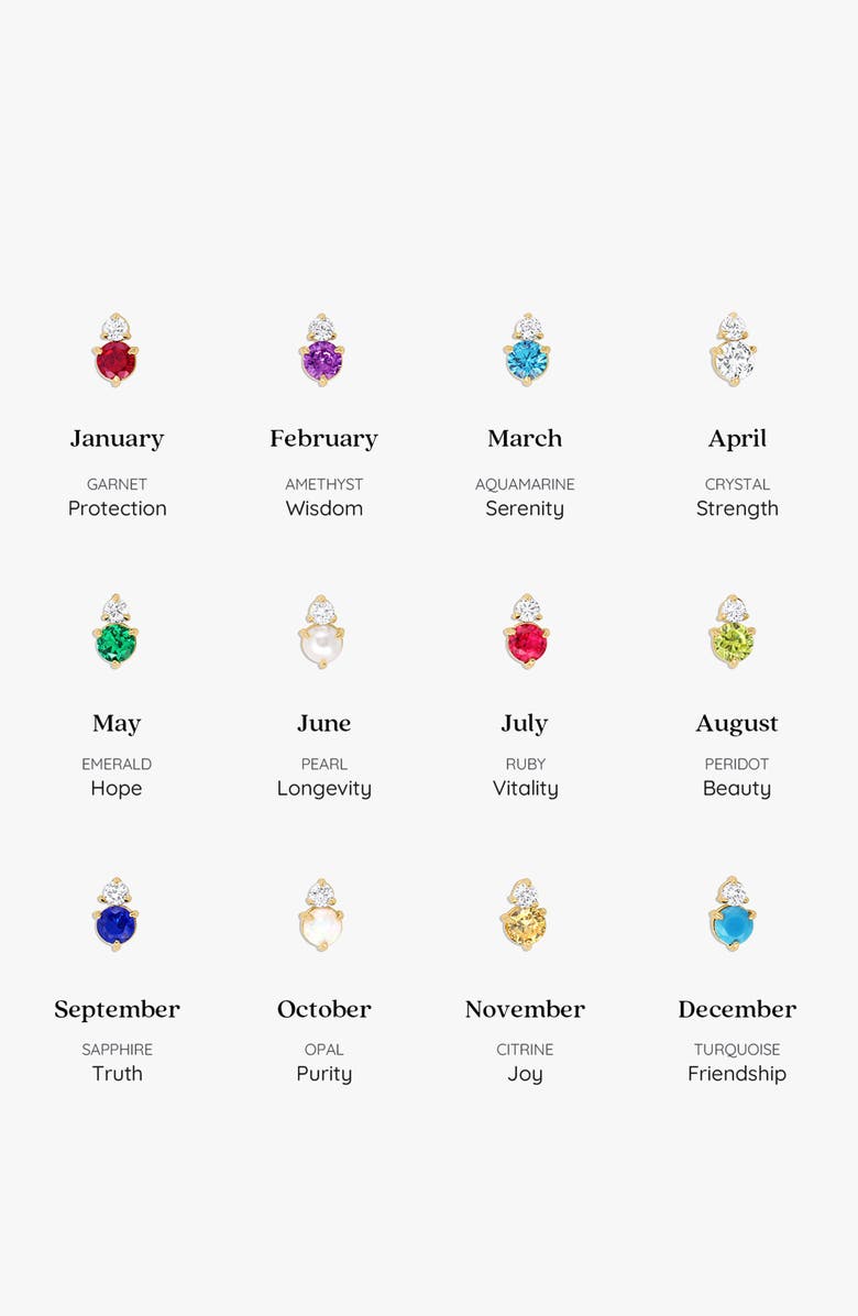 Bearfruit Jewelry 14k Gold Plated Deux Birthstone Necklace Personalized Gift Idea, Alternate, color, Crystal/April