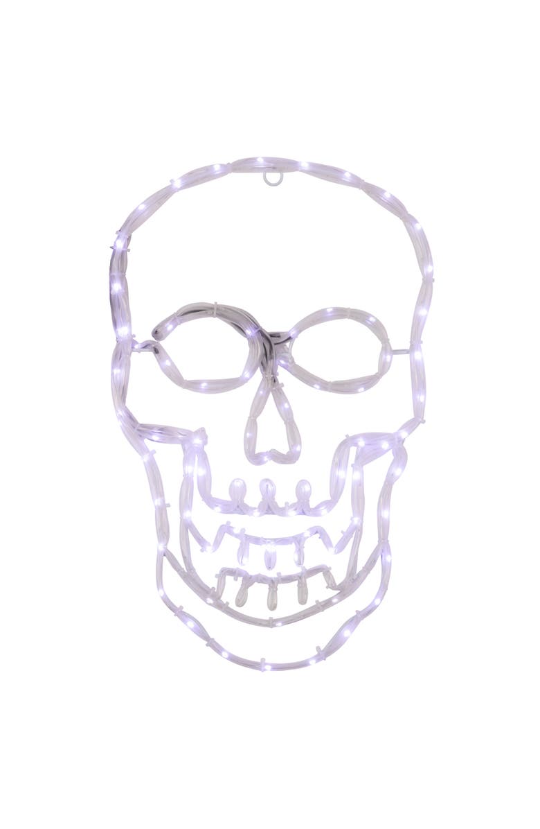Northlight LED Lighted 4 Function Skull Halloween Window Decoration - 18", Main, color, 