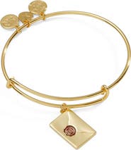 Alex and Ani Harry Potter™ Acceptance Letter Charm Bangle Bracelet