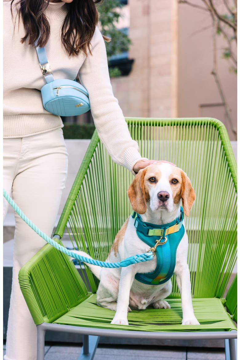 Joey Dog Harness, Alternate, color, Joey
