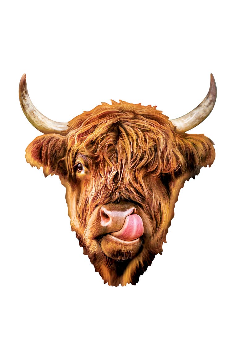 Highland Cow 100 Piece Shaped Puzzle, Alternate, color, Multicolor