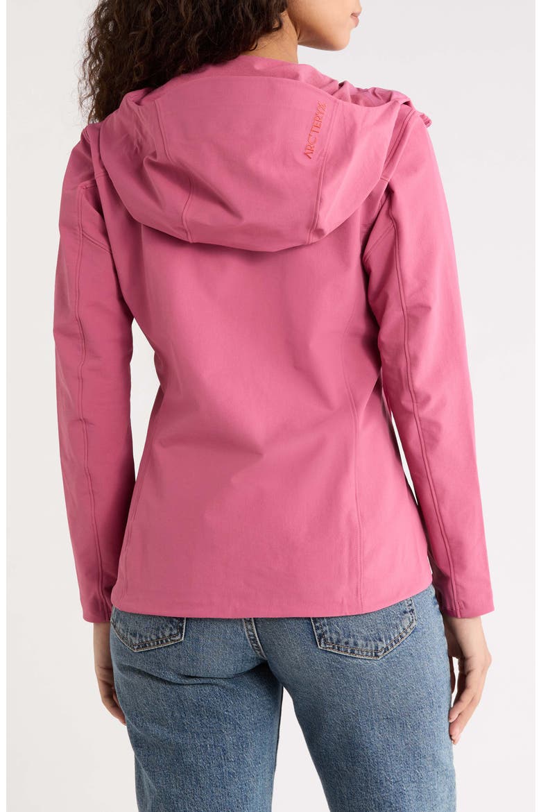 Gamma Performance Hoody, Alternate, color, RENEGADE
