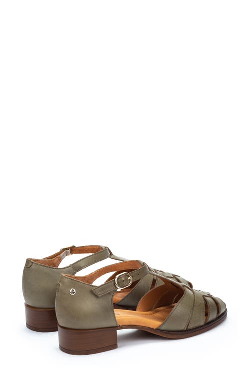 Pikolinos Valencia T-strap Sandal In Sage