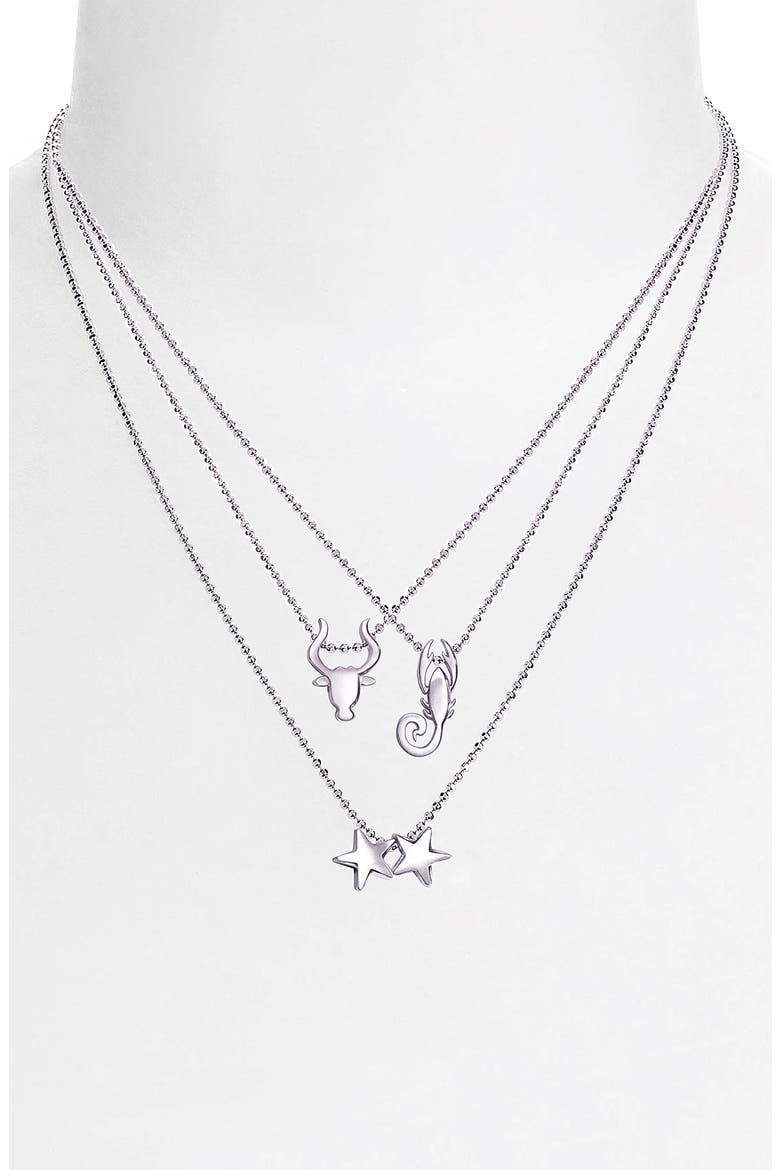 'Little Signs' Zodiac Pendant Necklace, Alternate, color, SILVER- CAPRICORN