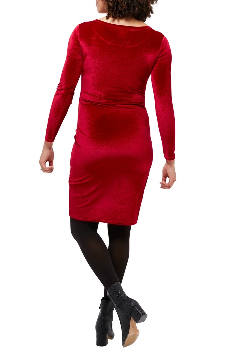 Nom Maternity Clio Long Sleeve Maternity Dress, Alternate, color, 