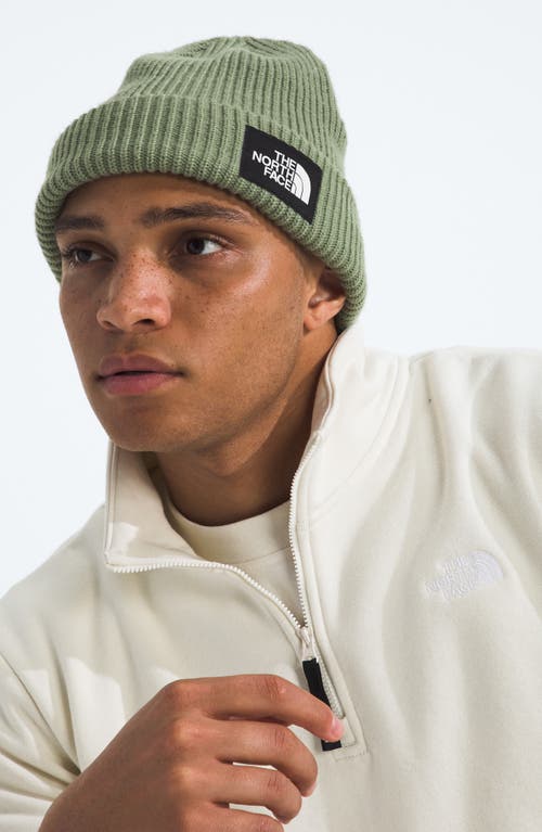 The North Face Salty Dog Beanie In Blue