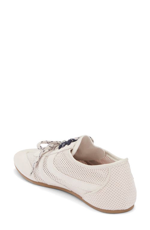 Steve Madden Denverr Sneaker In Neutral