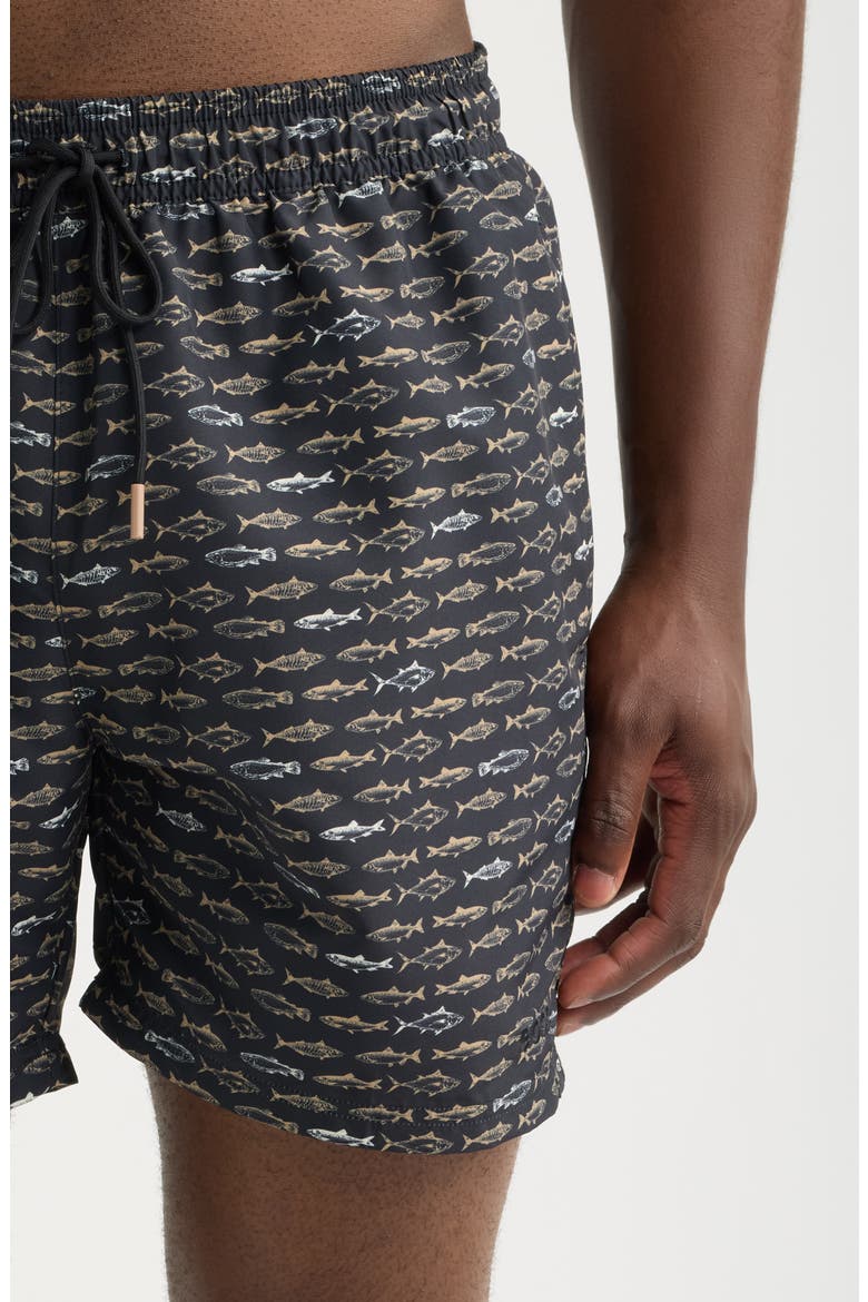 Danio Fish Print Swim Trunks, Alternate, color, BLACK