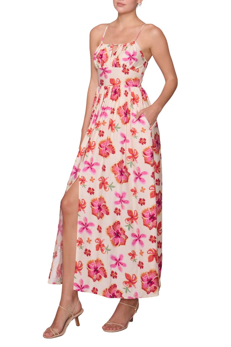 Floral Print Sleeveless Maxi Dress, Alternate, color, IVORY MULTI