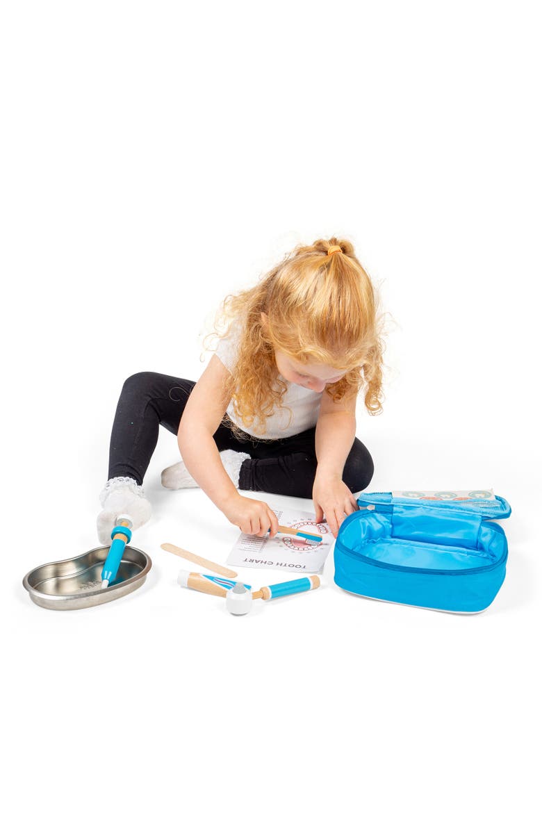 Bigjigs Toys Dentist Set, Alternate, color, Blue