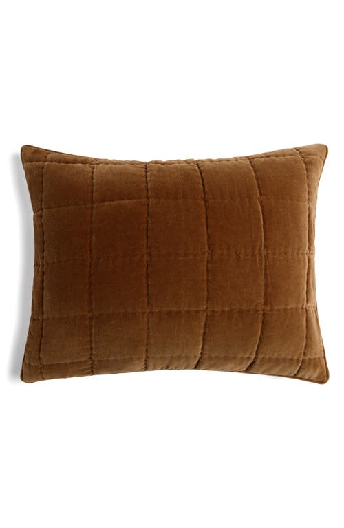 Parachute Set Of 2 Hand Stitched Velveteen Pillow Shams In Brown