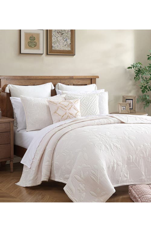 Peri Home Medallion Floral Comforter & Shams Set In Pink