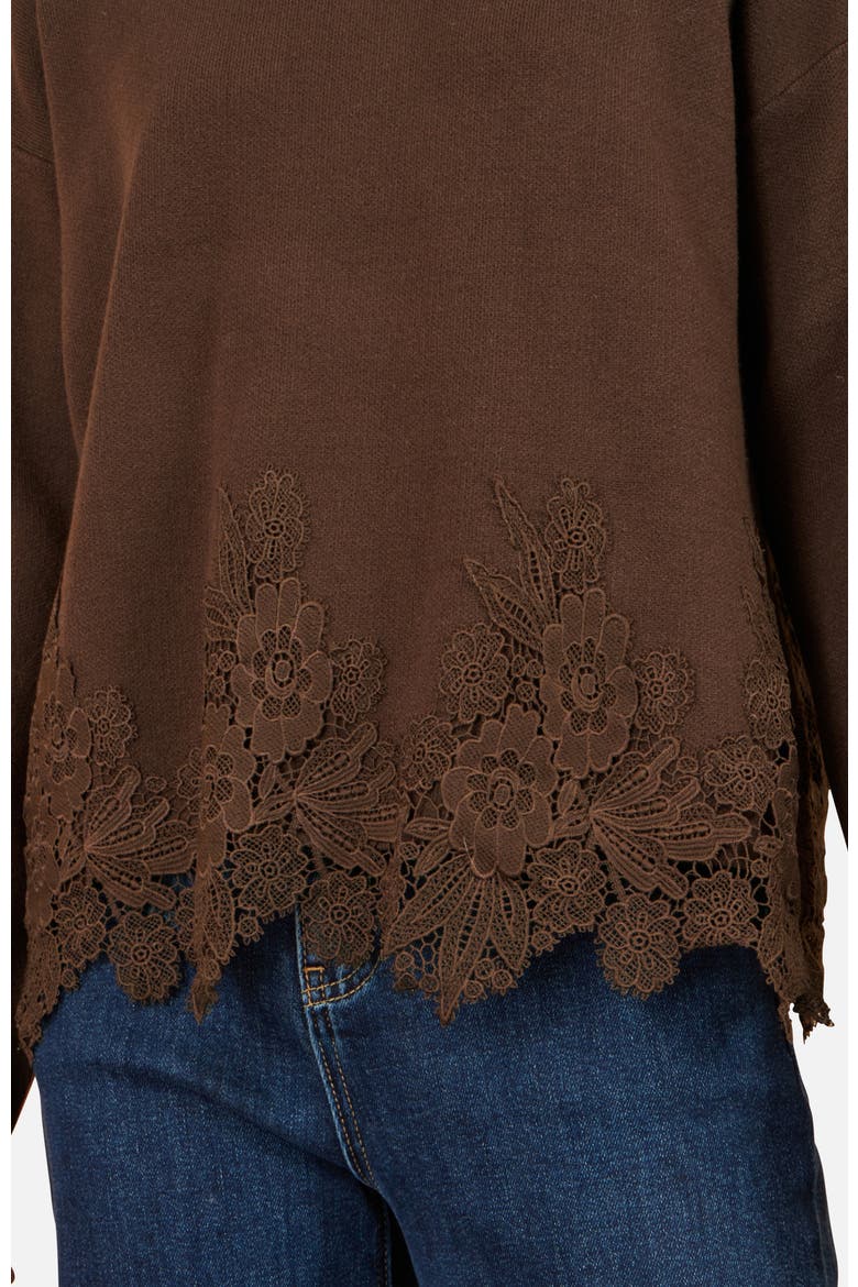 Relaxed Floral Lace Trim Jumper, Alternate, color, Brown