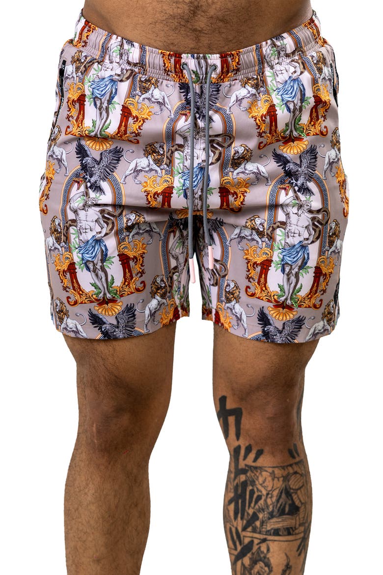 Swim Marthyr Print Swim Trunks, Main, color, BROWN