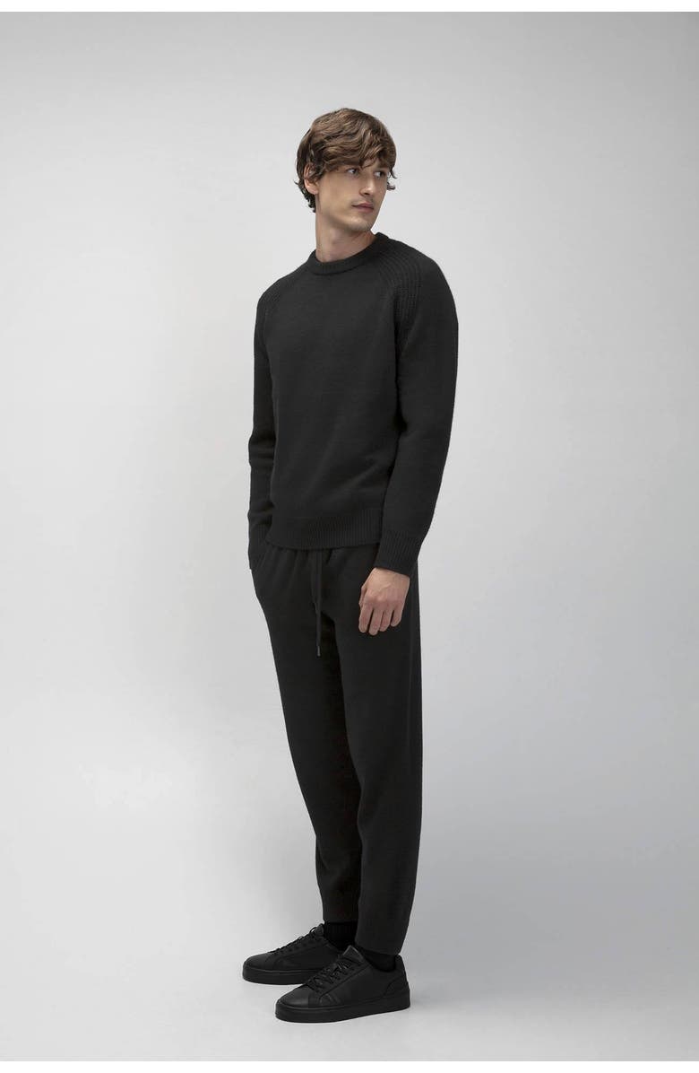 NAKED CASHMERE Oaklyn Cashmere Crewneck Sweater, Alternate, color, Black