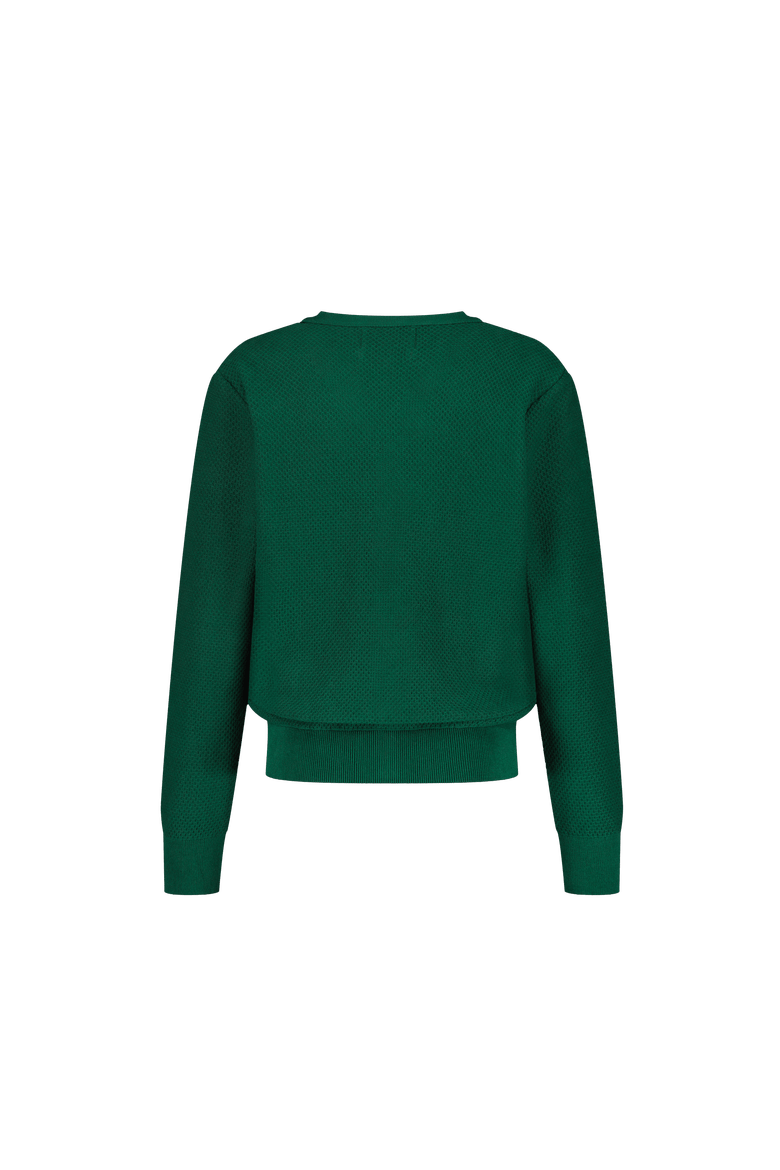 PL-LACANAU Golf Sweater, Alternate, color, Vert