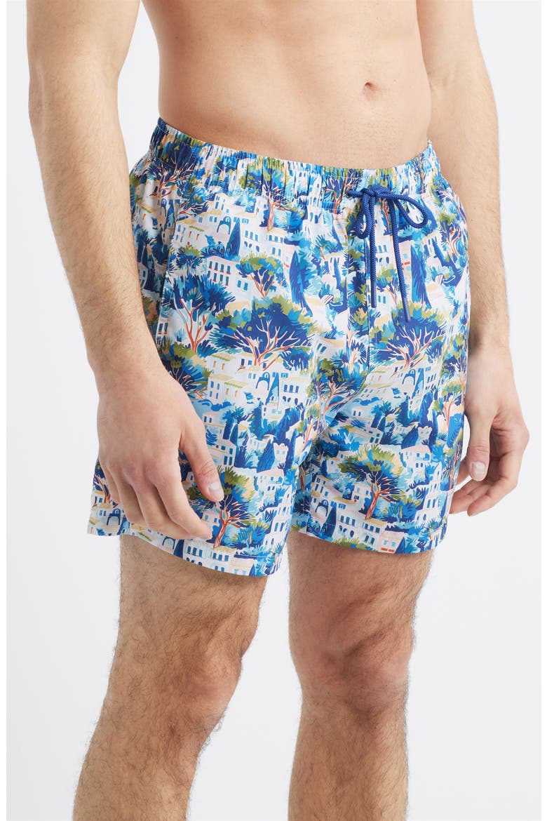 Printed Swim Trunks, Alternate, color, BLUE