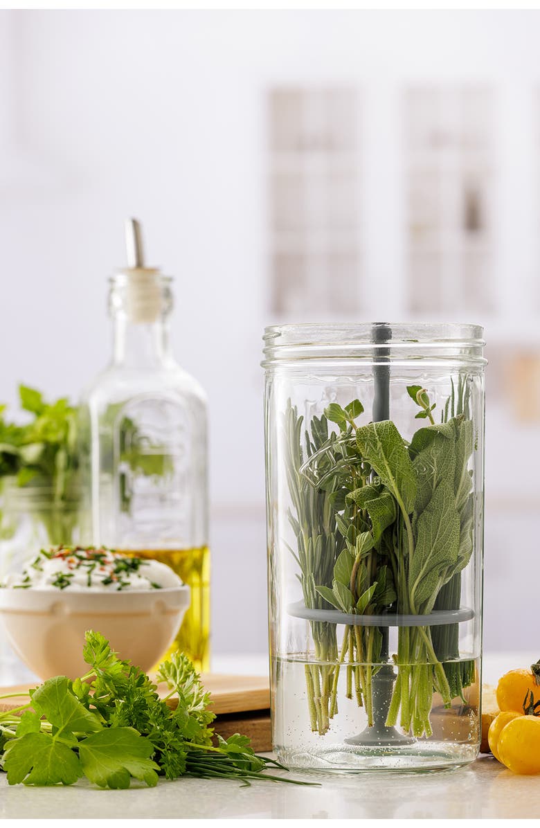 Kilner Fresh Herb Keeper, Glass Herb Storage Jar for Fridge, Alternate, color, Clear
