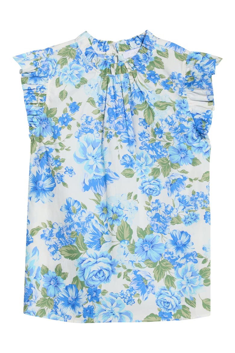 Truth Be Told Floral Print Sleeveless Top, Alternate, color, BLUE-CREAM