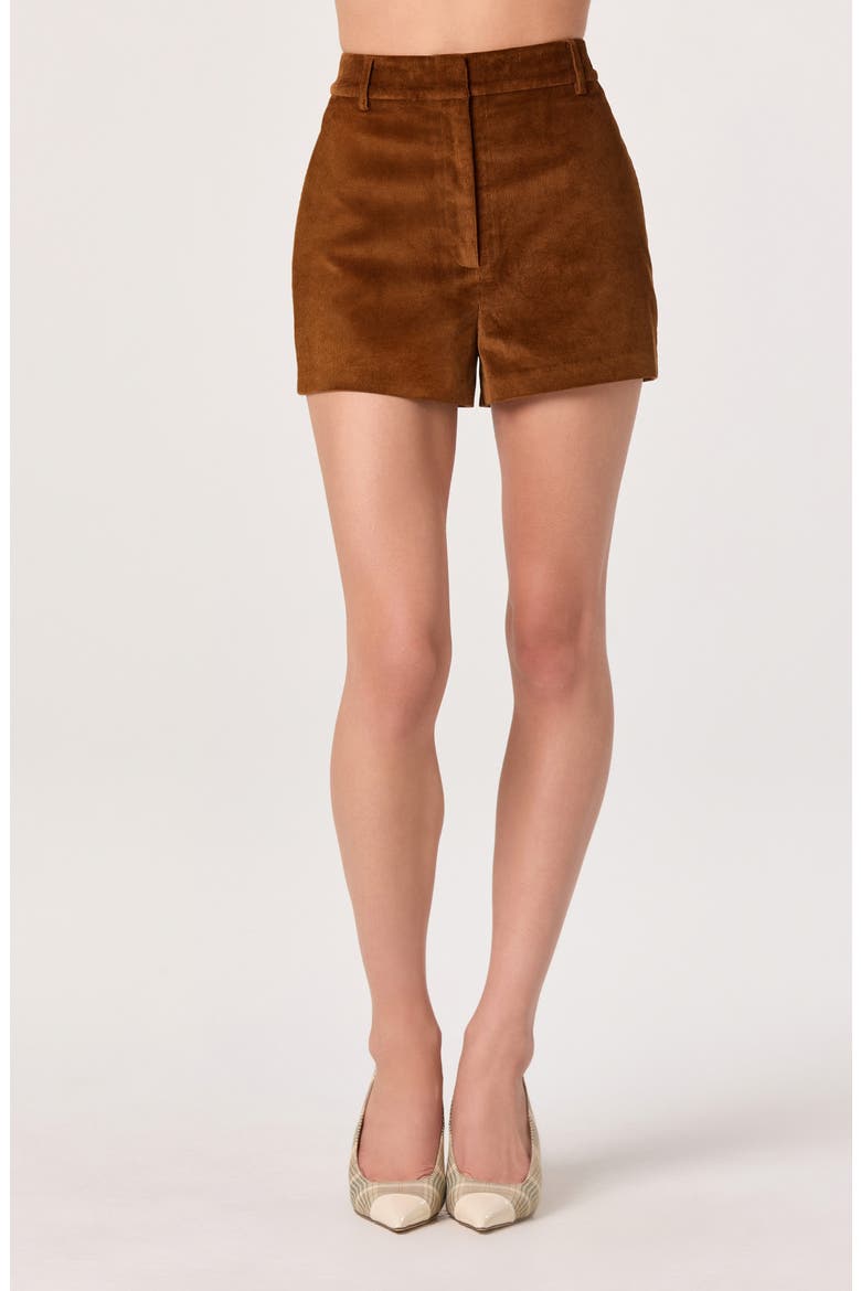High Waist Corduroy Shorts, Main, color, NUTMEG