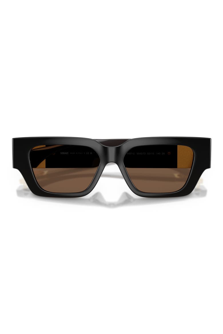 53mm Square Sunglasses, Alternate, color, TRANSPARENT BROWN / BROWN