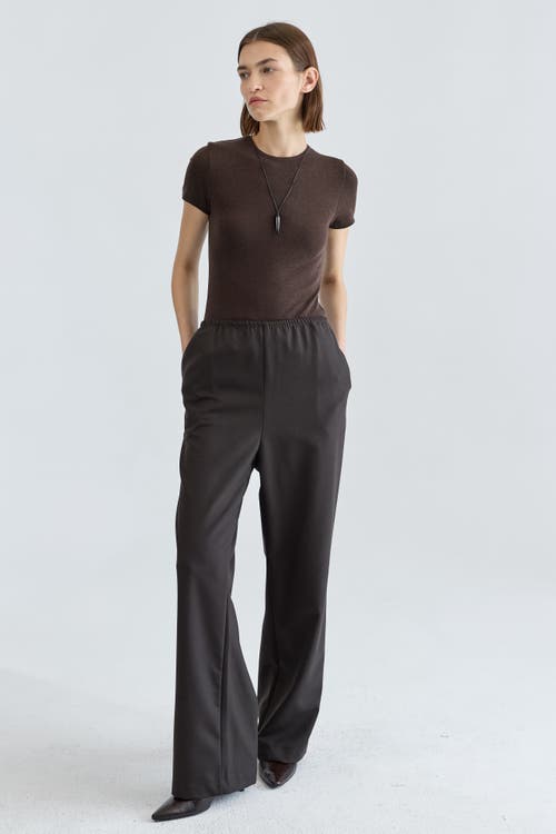 Almina Concept Wool Pants In Brown