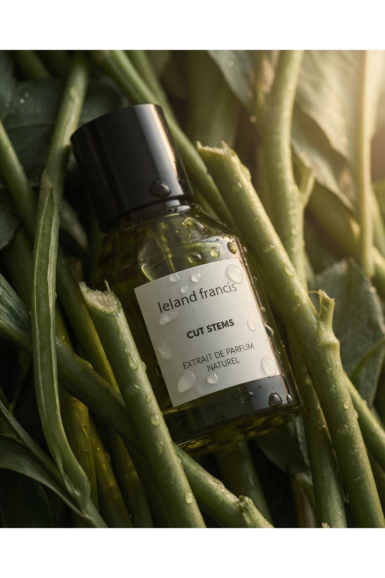 Cut Stems - Eau De Parfum, Alternate, color, none