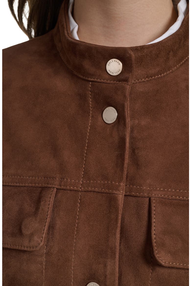 Convertible Collar Leather Jacket, Alternate, color, CHOCOLATE