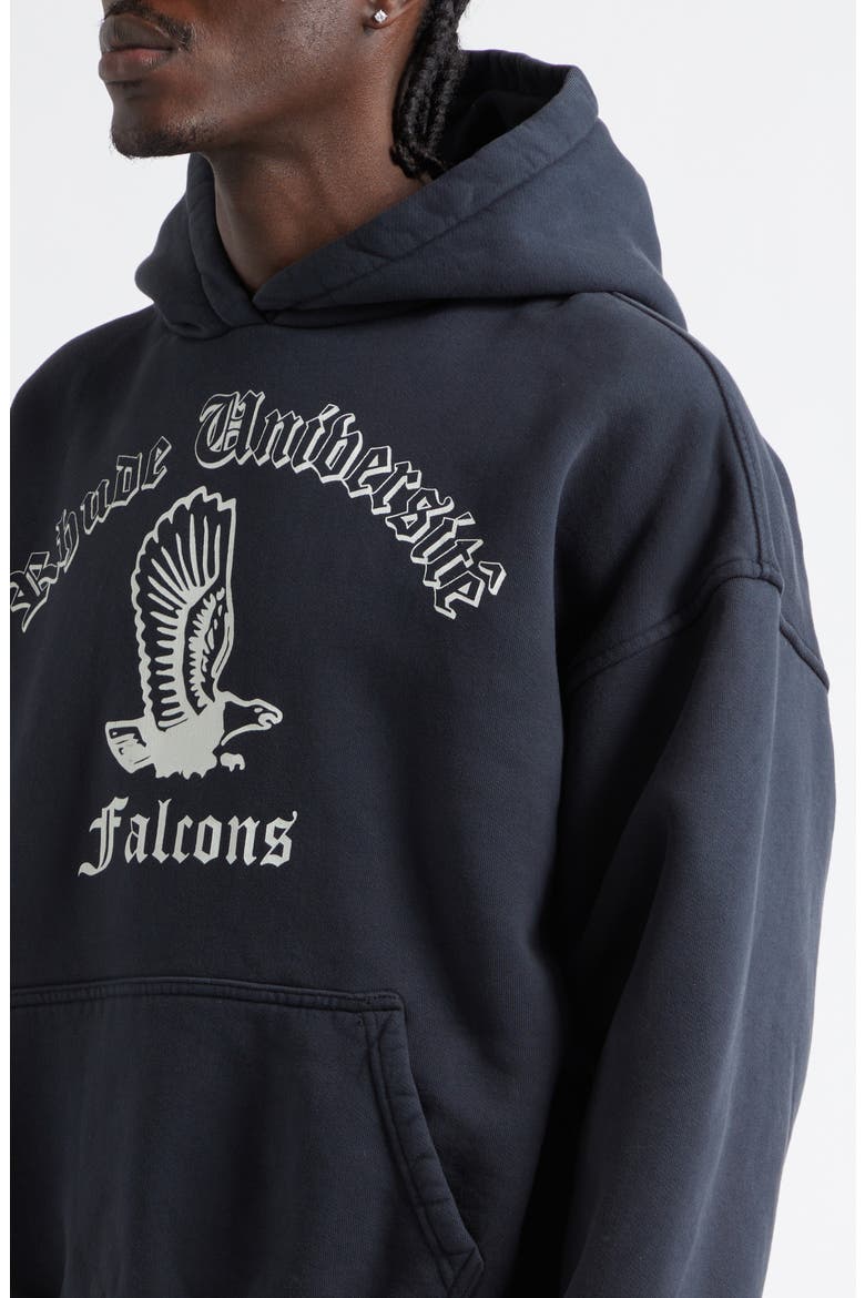 Collegiate Falcons French Terry Graphic Hoodie, Alternate, color, VINTAGE BLACK/ WHITE