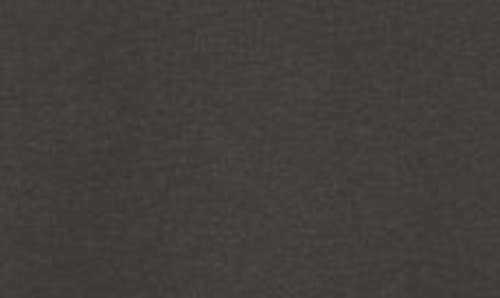 Tommy Bahama Golden Labation Graphic T-shirt