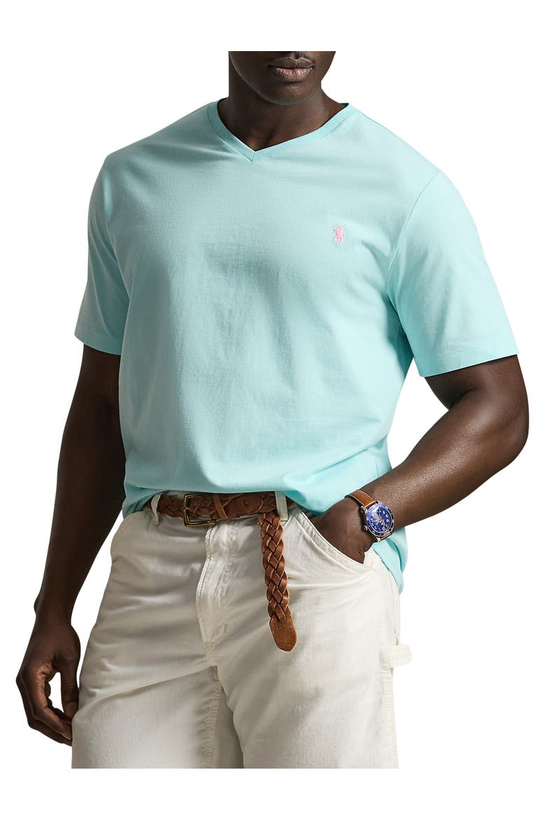 Polo Ralph Lauren Big & Tall Classic Fit V-Neck T-Shirt (Men