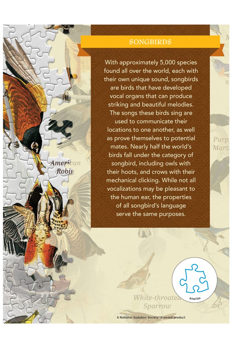 Audubon Songbirds 1000 Piece Puzzle, Alternate, color, Multicolor