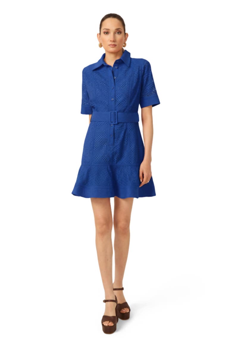 Payden Dress, Main, color, Blue eyelet