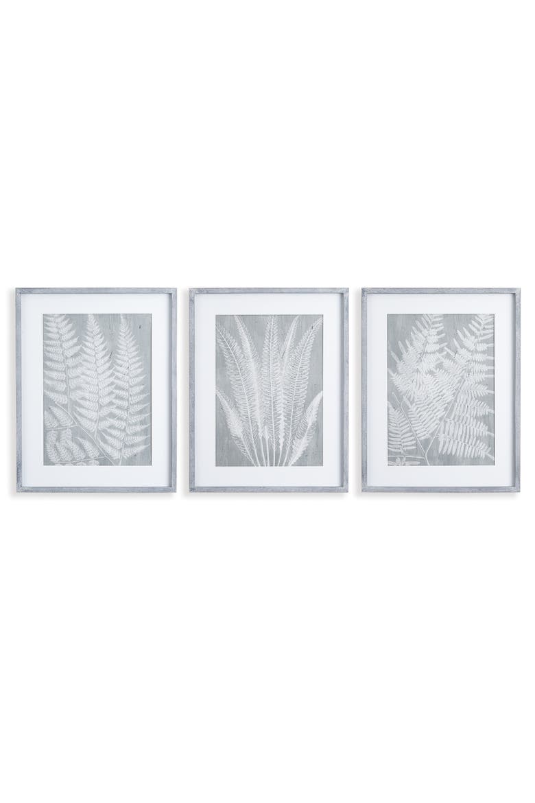 Fern Frond Prints, Set Of 3, Main, color, Green