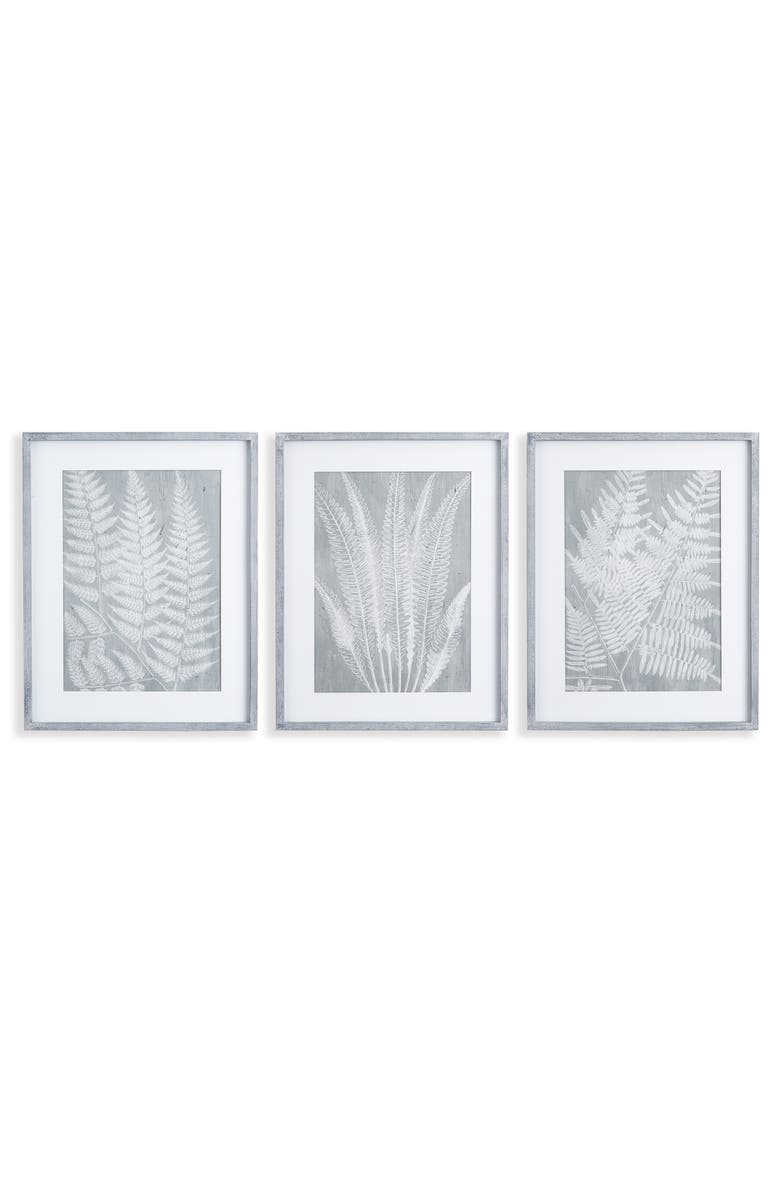 Napa Home & Garden Fern Frond Prints, Set Of 3, Main, color, Green