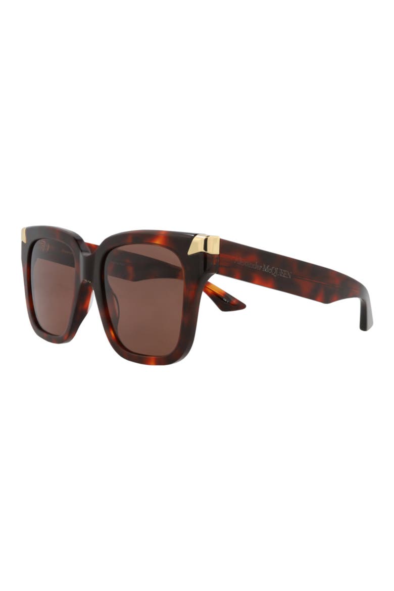 53mm Square Sunglasses, Alternate, color, HAVANA HAVANA BROWN
