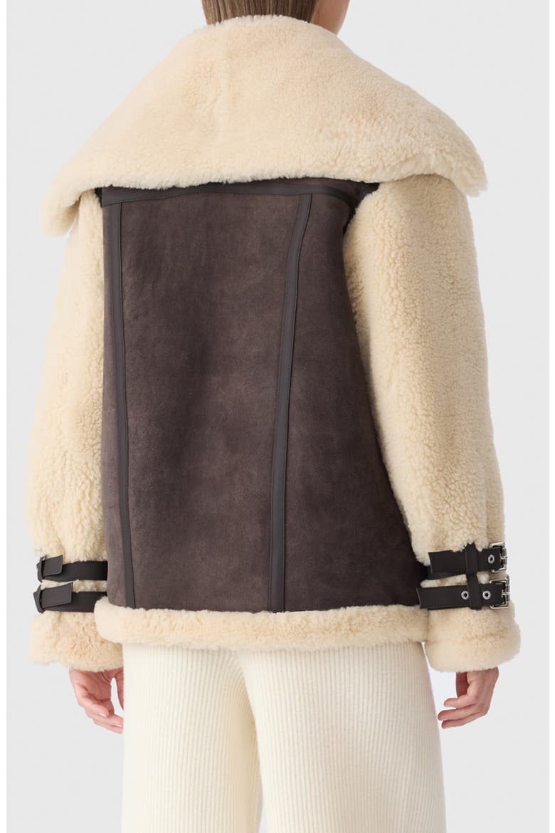Rhoslyn Oversize Genuine Shearling Moto Jacket, Alternate, color, COFFEE-NATURAL