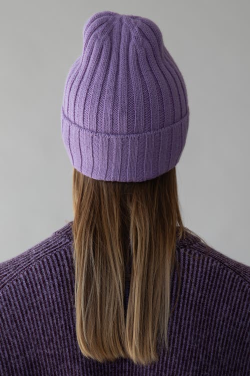 Sskein Ribbed Beanie In Purple