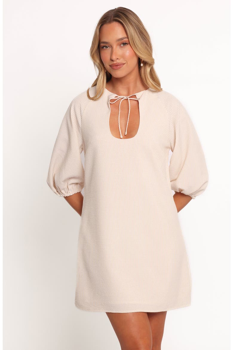 Sidney Front Tie Shift Dress, Alternate, color, TAN STRIPE