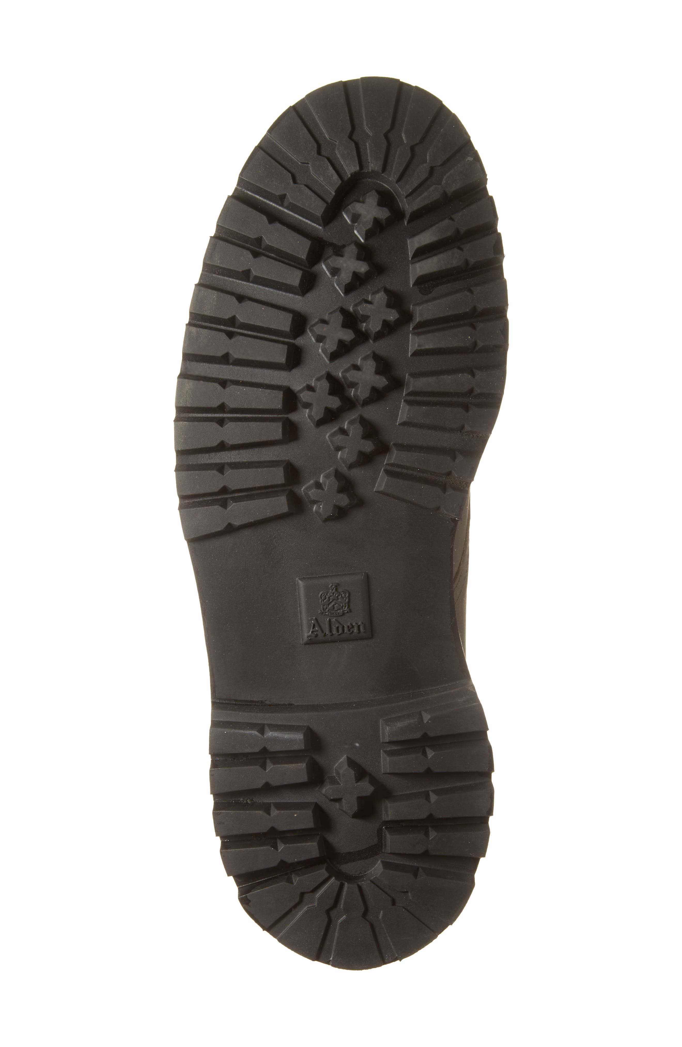 Alden Rugged Work Boot, Alternate, color, Dark Brown Kudu