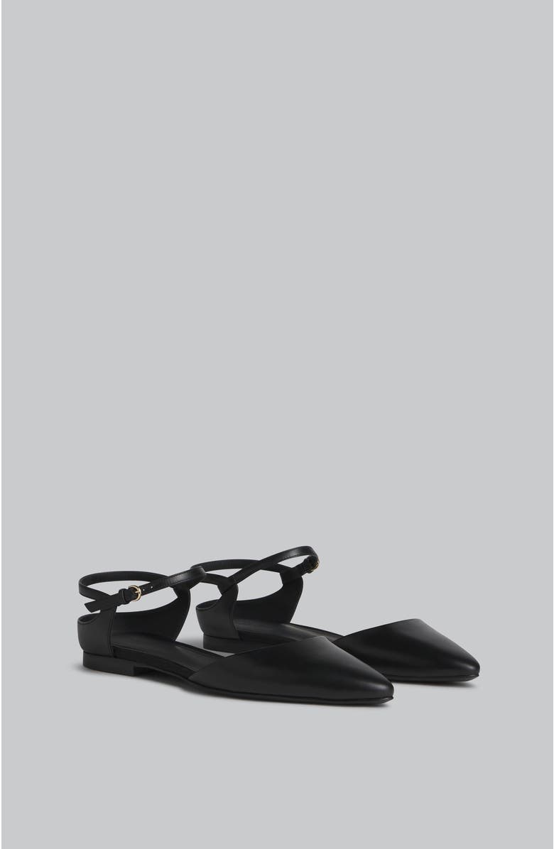 CO Slingback Pointed Toe Flat in Calfskin, Alternate, color,