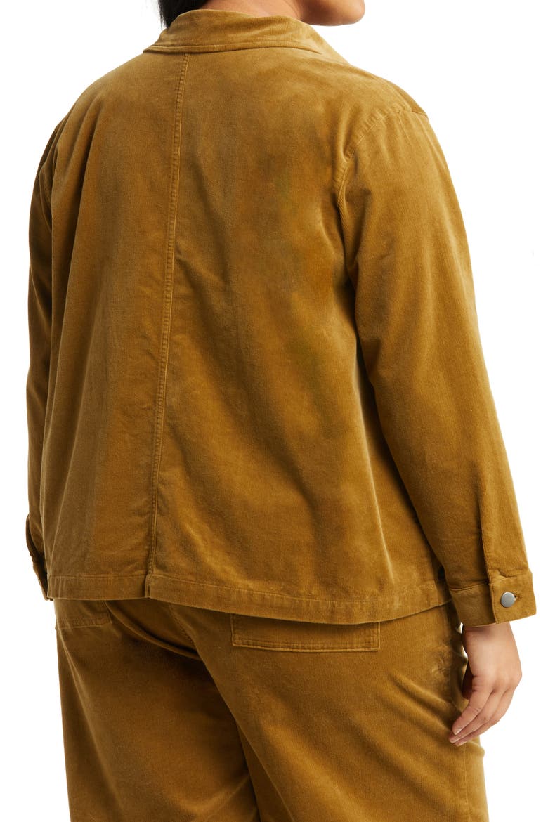 Classic Collar Organic Cotton Corduroy Jacket, Alternate, color, BUTTERNUT